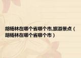 胡杨林在哪个省哪个市,旅游景点（胡杨林在哪个省哪个市）
