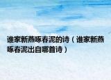 谁家新燕啄春泥的诗（谁家新燕啄春泥出自哪首诗）