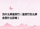 为什么养富贵竹（富贵竹怎么养 会受什么影响）