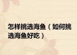 怎样挑选海鱼（如何挑选海鱼好吃）