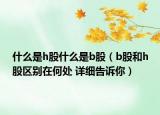 什么是h股什么是b股（b股和h股区别在何处 详细告诉你）