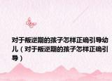 对于叛逆期的孩子怎样正确引导幼儿（对于叛逆期的孩子怎样正确引导）
