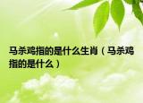 马杀鸡指的是什么生肖（马杀鸡指的是什么）