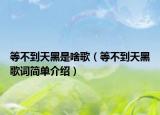 等不到天黑是啥歌（等不到天黑歌词简单介绍）