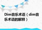 Dim音乐术语（dim音乐术语的解释）