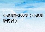 小池赏析200字（小池赏析内容）