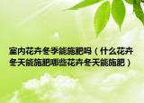 室内花卉冬季能施肥吗（什么花卉冬天能施肥哪些花卉冬天能施肥）