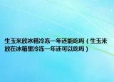生玉米放冰箱冷冻一年还能吃吗（生玉米放在冰箱里冷冻一年还可以吃吗）