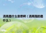 清高是什么意思啊（清高指的是什么）