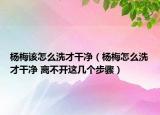 杨梅该怎么洗才干净（杨梅怎么洗才干净 离不开这几个步骤）