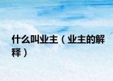 什么叫业主（业主的解释）