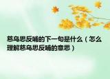 慈乌思反哺的下一句是什么（怎么理解慈乌思反哺的意思）