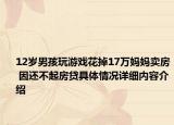 12岁男孩玩游戏花掉17万妈妈卖房 因还不起房贷具体情况详细内容介绍
