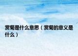 赏菊是什么意思（赏菊的意义是什么）