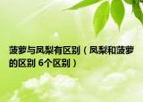 菠萝与凤梨有区别（凤梨和菠萝的区别 6个区别）