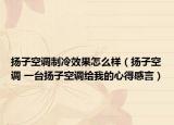 扬子空调制冷效果怎么样（扬子空调 一台扬子空调给我的心得感言）