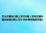 怎么开通农行网上支付功能（怎样开通中国农业银行网上支付 四步教你如何开通）