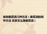 自制桑葚酒几种方法（桑葚酒的制作方法 在家怎么做桑葚酒）