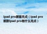 ipad pro屏幕亮点（ipad pro 新款ipad pro有什么亮点）