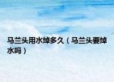 马兰头用水焯多久（马兰头要焯水吗）