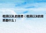 相濡以沫,的意思（相濡以沫的意思是什么）
