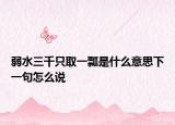 弱水三千只取一瓢是什么意思下一句怎么说