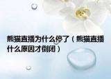 熊猫直播为什么停了（熊猫直播什么原因才倒闭）