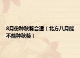 8月份种秋葵合适（北方八月能不能种秋葵）
