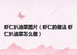 虾仁扒油菜图片（虾仁的做法 虾仁扒油菜怎么做）