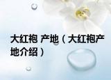 大红袍 产地（大红袍产地介绍）