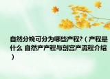 自然分娩可分为哪些产程?（产程是什么 自然产产程与剖宫产流程介绍）