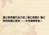 蒲公英茶图片及介绍（蒲公英图片 蒲公英饼和蒲公英茶——女性健康美食）