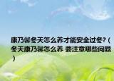 康乃馨冬天怎么养才能安全过冬?（冬天康乃馨怎么养 要注意哪些问题）