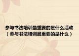 参与书法培训最重要的是什么活动（参与书法培训最重要的是什么）