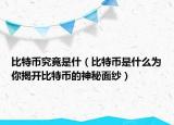 比特币究竟是什（比特币是什么为你揭开比特币的神秘面纱）