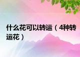 什么花可以转运（4种转运花）