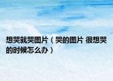 想哭就哭图片（哭的图片 很想哭的时候怎么办）