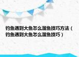 钓鱼遇到大鱼怎么溜鱼技巧方法（钓鱼遇到大鱼怎么溜鱼技巧）