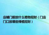 店铺门前放什么植物招财（门店门口放哪些绿植招财）