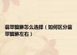 翡翠貔貅怎么选择（如何区分翡翠貔貅左右）