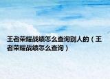 王者荣耀战绩怎么查询别人的（王者荣耀战绩怎么查询）