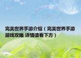 完美世界手游介绍（完美世界手游游戏攻略 详情请看下方）