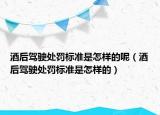 酒后驾驶处罚标准是怎样的呢（酒后驾驶处罚标准是怎样的）