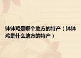 钵钵鸡是哪个地方的特产（钵钵鸡是什么地方的特产）