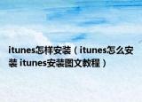 itunes怎样安装（itunes怎么安装 itunes安装图文教程）