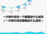 一片树叶遮住一个眼睛是什么成语（一片树叶遮住眼睛是什么成语）
