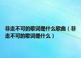 非走不可的歌词是什么歌曲（非走不可的歌词是什么）