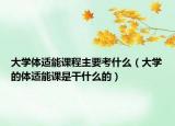 大学体适能课程主要考什么（大学的体适能课是干什么的）