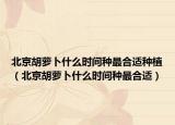 北京胡萝卜什么时间种最合适种植（北京胡萝卜什么时间种最合适）