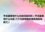 冬虫夏草有什么功效百度百科（冬虫夏草有什么功效 六个功效帮助你提高身体免疫力）